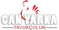 Can Yarka Tavukçuluk Yumurtacılık ve Tavuk Kümesi Kurulumu